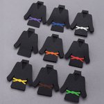 Personligt flerfärgat bälte Taekwondo jacka Stud Dangle med örhängen Display Card Födelsedag Game Day Present för kampsport Karate älskare
