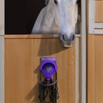 Personalisierte Krone Herz Name Multicolor PLA Zaumzeug Hakenhalter Tack Zubehör Geburtstag Reitsport Geschenk für Pferd Trainer Besitzer