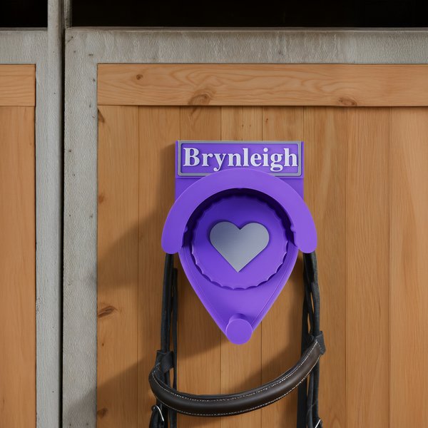Personalisierte Krone Herz Name Multicolor PLA Zaumzeug Hakenhalter Tack Zubehör Geburtstag Reitsport Geschenk für Pferd Trainer Besitzer