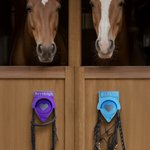 Personalisierte Krone Herz Name Multicolor PLA Zaumzeug Hakenhalter Tack Zubehör Geburtstag Reitsport Geschenk für Pferd Trainer Besitzer