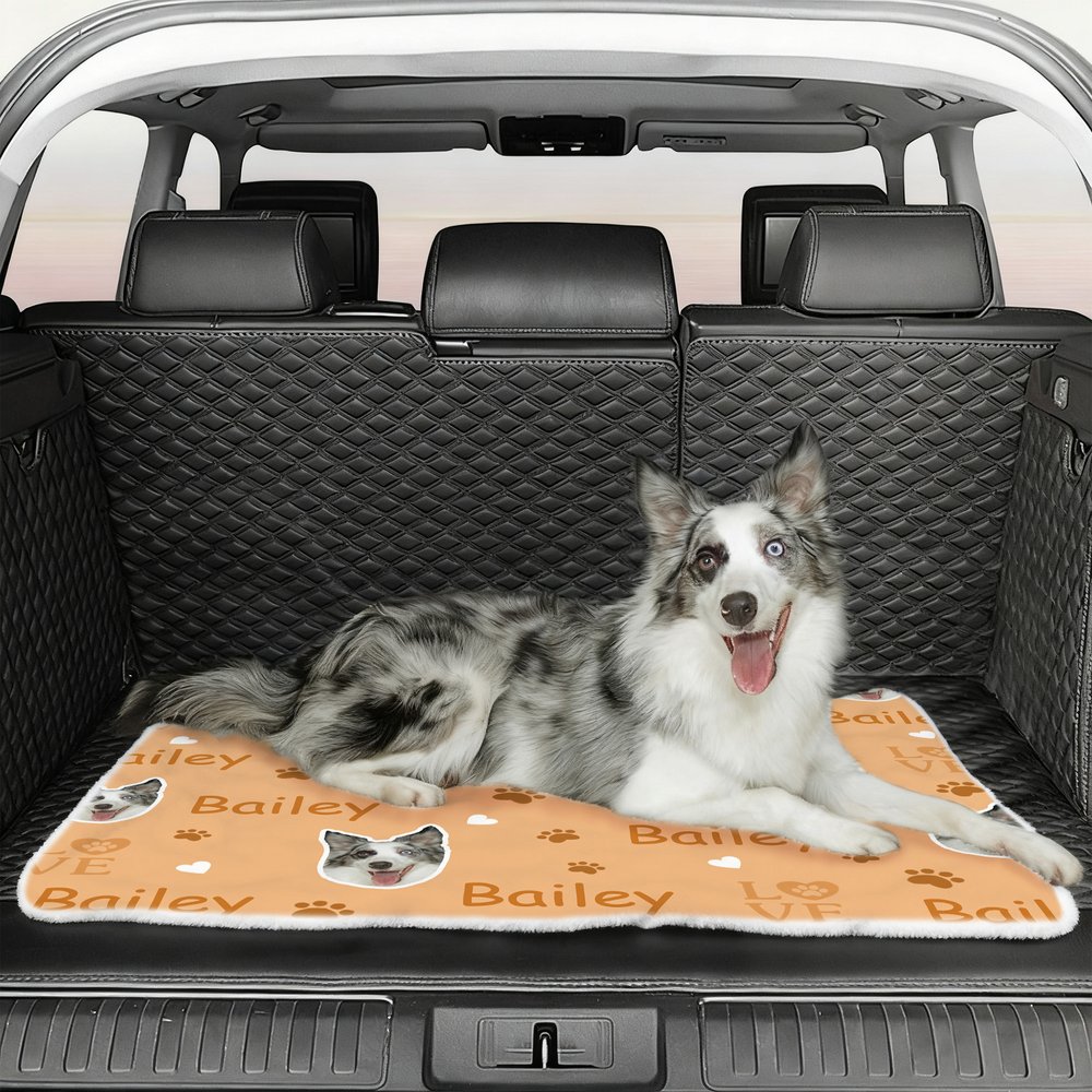 Personalised Multicolour Paw Prints Dog Cat Face Photo Soft Pet Bed Mat with Name Outdoor Activities Birthday Gift for Pet Owners Lovers 4