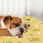 Personalised Multicolour Paw Prints Dog Cat Face Photo Soft Pet Bed Mat with Name Outdoor Activities Birthday Gift for Pet Owners Lovers 5