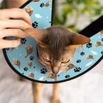Personalized Pet Photo Fish Bone Paw Print Adjustable Elizabeth Protective Collar Pet Hospital Care Birthday Gift for Pet Owners Lovers