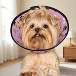 Personalized Pet Photo Fish Bone Paw Print Adjustable Elizabeth Protective Collar Pet Hospital Care Birthday Gift for Pet Owners Lovers