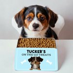 Gepersonaliseerde Schattige 3D Cartoon Dog Bone Food-Grade Dog Treat Metalen Blikken Doos met Naam Pet's Day Verjaardagscadeau voor Pet Owner Lovers