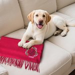 Personalised Embroidered Pet Avatar Photo Birth Flower Tassel Scarf with Name Warm Accessory Anniversary Birthday Christmas Gift for Pet Lovers