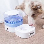 Personalized Bone Heart Paw Print Food and Water Dispenser with  Bowl and Name Pet Supplies Indoor Daily Use  Gift for Pet Owners
