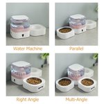 Personalized Bone Heart Paw Print Food and Water Dispenser with  Bowl and Name Pet Supplies Indoor Daily Use  Gift for Pet Owners