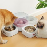 Personalized Bone Heart Paw Print Food and Water Dispenser with  Bowl and Name Pet Supplies Indoor Daily Use  Gift for Pet Owners
