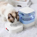 Personalized Bone Heart Paw Print Food and Water Dispenser with  Bowl and Name Pet Supplies Indoor Daily Use  Gift for Pet Owners