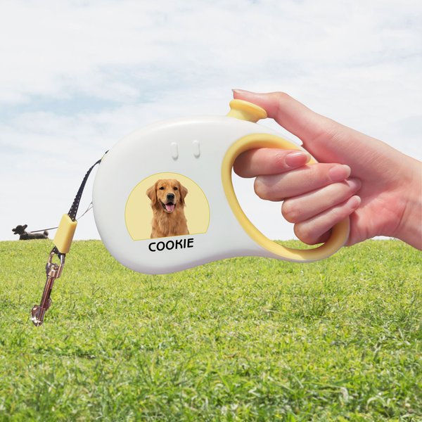 Personalized Multicolor Retractable Reflective Effect Pet Leash with Photo and Name Daily Use Birthday Gift for Pet Lover Owner