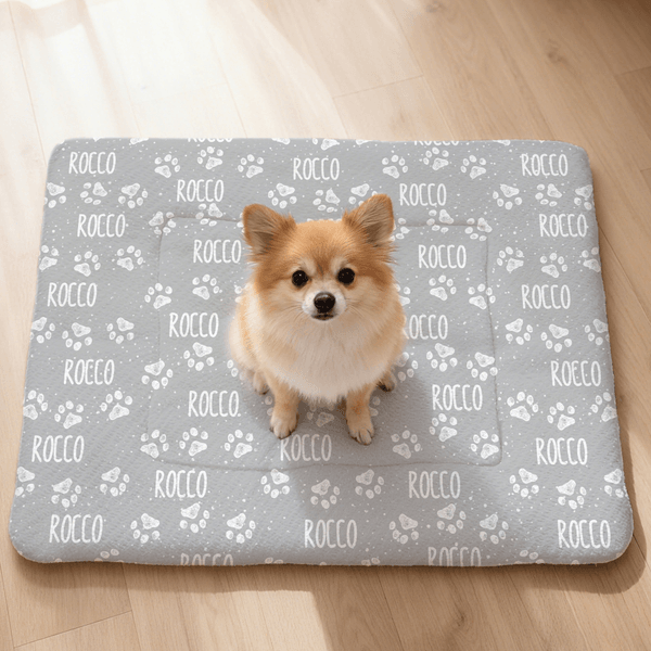 Personalized Multicolour Cute Paw Print Pet Blanket with Name Birthday Gift for Cat Dog Lover