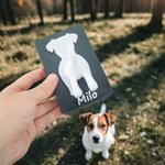 Porte laisse pour chien imprimé en 3D avec nom Décoration murale Anniversaire Pendaison de crémaillère Cadeau pour propriétaire de chien amoureux