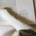 Timbro a secco floreale personalizzato con ragazza e gatto Ex Libris regalo creativo di compleanno e apprezzamento per insegnanti e amanti dei libri