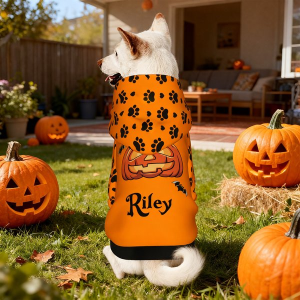 Personalised Multicolour Claw Bat Pumpkin Face Dog Hoodie with Name Halloween Party Gift for Pet Lovers Owners