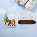 Veilleuse LED en acrylique avec base en bois et nom Cadeau d'anniversaire pour la famille et les enfants