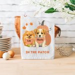 Henkilökohtainen kurpitsa Pet Photo Imukykyinen pehmeä vohveli teepyyhe 1-2 nimellä Fall Kitchen Decor Halloween kiitospäivä lahja lemmikkieläinten omistajille ystäville