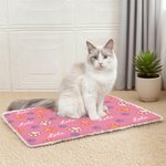 Personalized Paw Prints Soft Pet Bed Mat with Name Outdoor Activities Pet Party Birthday Gift for Pet Owners Lovers