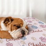 Personalized Paw Prints Soft Pet Bed Mat with Name Outdoor Activities Pet Party Birthday Gift for Pet Owners Lovers