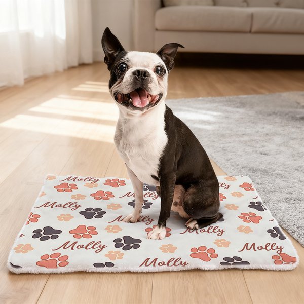 Personalized Paw Prints Soft Pet Bed Mat with Name Outdoor Activities Pet Party Birthday Gift for Pet Owners Lovers