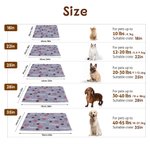 Personalized Paw Prints Soft Pet Bed Mat with Name Outdoor Activities Pet Party Birthday Gift for Pet Owners Lovers