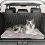 Personalized Paw Prints Soft Pet Bed Mat with Name Outdoor Activities Pet Party Birthday Gift for Pet Owners Lovers