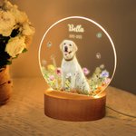 Il mio piccolo amico vive ancora nella luce - Luce notturna a LED personalizzata con nome data e foto