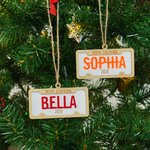 Personalized New Driver License Plate Style Wooden Ornament with Name Year and Lanyard Home Decor Christmas Gift for Family Friends Teen