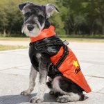 Personalised Red Heart Paw Print Waterproof Winter Coat Dog Jacket with Pet Name for Cold Weather Outdoor Activities Gift for Pet