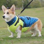 Personalised Red Heart Paw Print Waterproof Winter Coat Dog Jacket with Pet Name for Cold Weather Outdoor Activities Gift for Pet