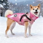 Personalised Red Heart Paw Print Waterproof Winter Coat Dog Jacket with Pet Name for Cold Weather Outdoor Activities Gift for Pet