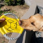 Personalised Cute Line Style Dog Multicolour Waterproof Dog Flying Disc with Name Outdoor Dog Toy Birthday Gift for Pet Owners