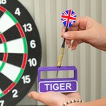 Personalized Multicolour Stand Dart Holder with Name Holds 3 Darts Desk Decor Birthday Game Club Gift for Dart Lovers