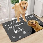 Personalised Visitors Must Be Approved By 3D Cartoon Pet Non-Slip Doormat with 1-3 Names Home Decor Birthday Gift for Dog Cat Owners Lovers