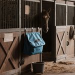 Personalisierte Pferd Silhouette wasserdicht große Kapazität hängende Pferdedecke Tasche mit Namen Pferdesport Geschenk für Pferdeliebhaber
