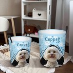 Personalised 3D Cartoon Dog Paws Collapsible Large Capacity Laundry Storage Basket with Name Pet Birthday Housewarming Gift for Pet Owners