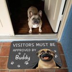 Personalised Visitors Must Be Approved By 3D Cartoon Pet Non-Slip Doormat with 1-3 Names Home Decor Birthday Gift for Dog Cat Owners Lovers
