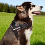 Personlig hjerte Paw Print Bone Design Justerbar reflekterende hundesele Vest med navn Pet Party Bursdagsgave til kjæledyrelskere eiere