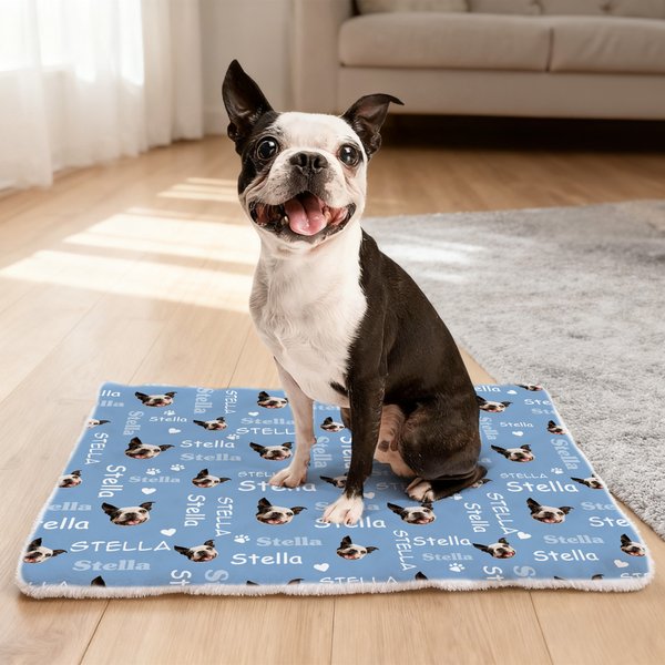 Personalized Pet Face Photo Paw Print Soft Pet Bed Mat with Name Pet Birthday Adoption Anniversary Gift for Pet Lovers Owners