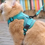 Personalized Heart Bone Grown Signage Mesh Pet Chest Harness with Name and Traction Rope Outdoor Activities Birthday Gift for Pet Owners