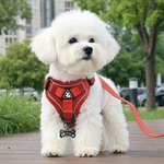 Personalized Heart Bone Grown Signage Mesh Pet Chest Harness with Name and Traction Rope Outdoor Activities Birthday Gift for Pet Owners