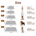 Personalized Multicolor Cute Star Pet Mat with Name Outdoor Activity Indoor Rest Birthday Gift for Pet Owners Lovers