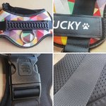 Personlig hjerte Paw Print Bone Design Justerbar reflekterende hundesele Vest med navn Pet Party Bursdagsgave til kjæledyrelskere eiere