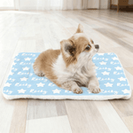 Personalized Multicolor Cute Star Pet Mat with Name Outdoor Activity Indoor Rest Birthday Gift for Pet Owners Lovers