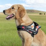 Personlig hjerte Paw Print Bone Design Justerbar reflekterende hundesele Vest med navn Pet Party Bursdagsgave til kjæledyrelskere eiere