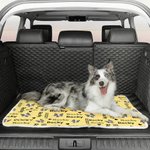 Personalized Pet Face Photo Paw Print Soft Pet Bed Mat with Name Pet Birthday Adoption Anniversary Gift for Pet Lovers Owners