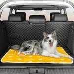 Personalized Paw Print Heart Icon Soft Pet Bed Mat with Name Outdoor Activities Birthday Christmas Gift for Pet Owners