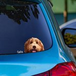 Pegatina de coche personalizada con retrato de mascota divertida y adorable resistente a la intemperie regalo de decoración para amantes de mascotas