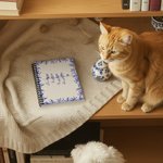 Personalized Toile De Jouy 1-7 Line Art Dogs Cats A5 Spiral Journal Notebook with Names Memorial Birthday Gift for Pet Owners Lovers