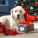 Spersonalizowane wodoodporne naklejki Święty Mikołaj z piernika z imieniem Christmas Festival Party Prezent dla rodziny i przyjaciół